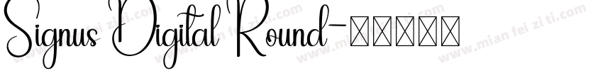 Signus Digital Round字体转换